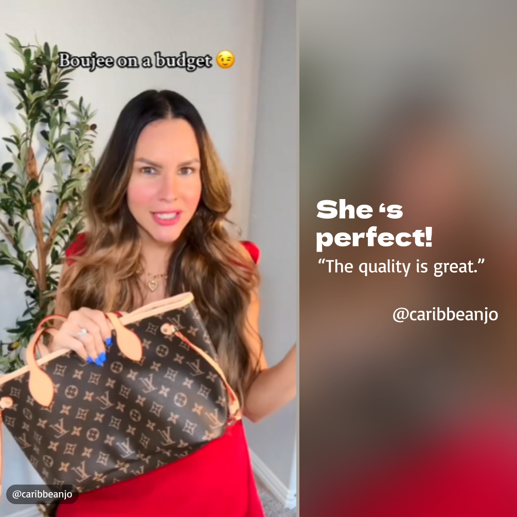 Louis Vuitton LV Neverfull PM bag