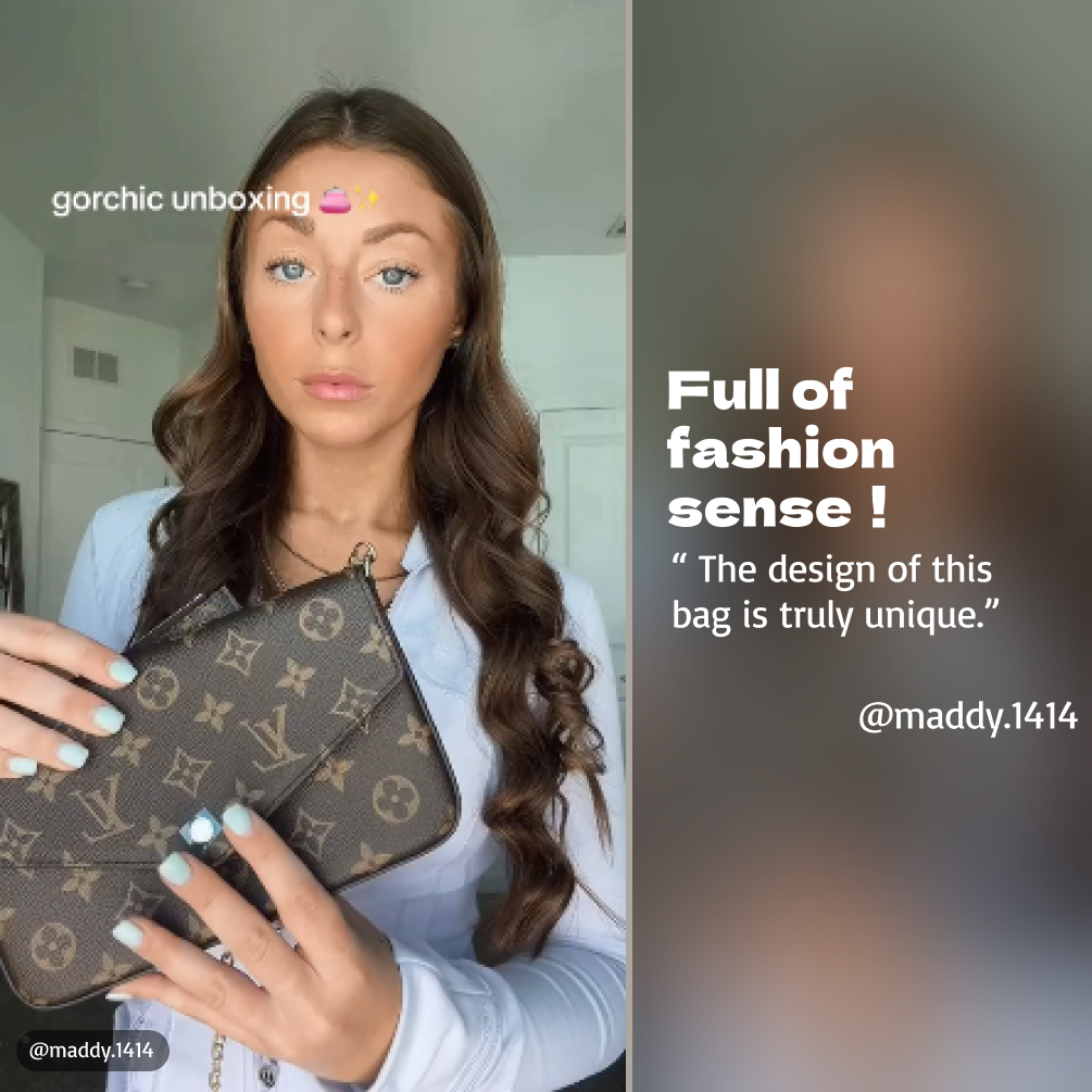 Louis Vuitton LV Félicie Pochette Bag