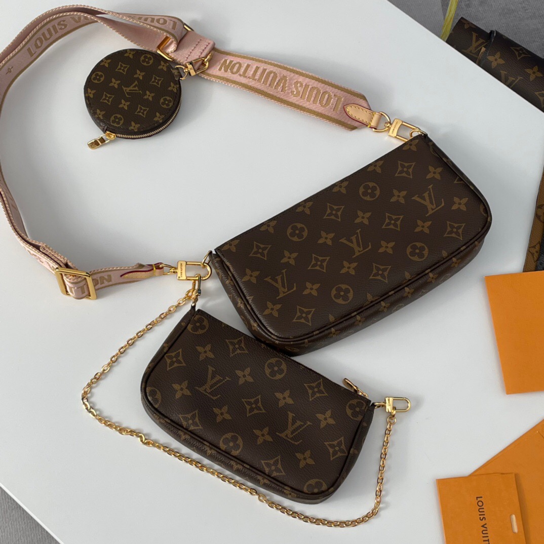 Louis Vuitton LV Multi Pochette Accessoires Bag
