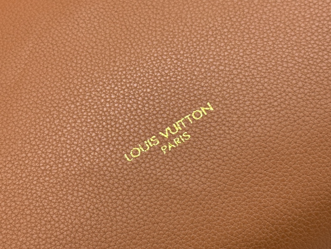 LOUIS VUITTON LV Low Key Hobo PM Bag in Brown - Bag