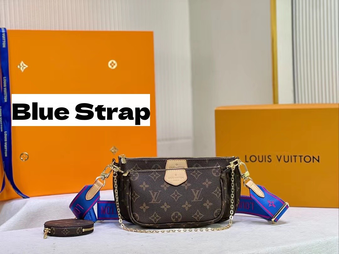 Louis Vuitton LV Multi Pochette Accessoires Bag