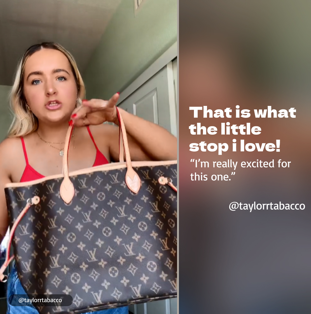 Louis Vuitton Neverfull MM Classic Bag