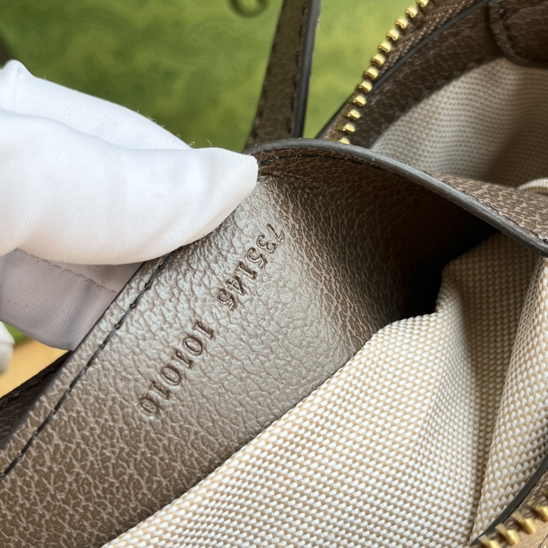 Gucci Ophidia Collection Handbag - Beige And Dark Brown Bag