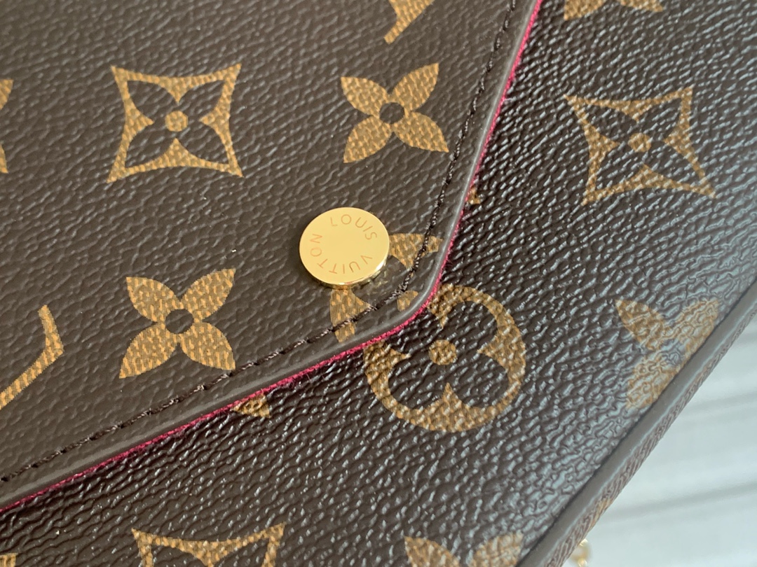 Louis Vuitton LV Félicie Pochette Crossbody Bag