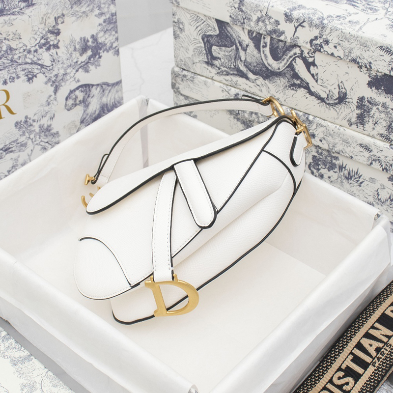 Dior Saddle Latte Grained Calfskin Bags