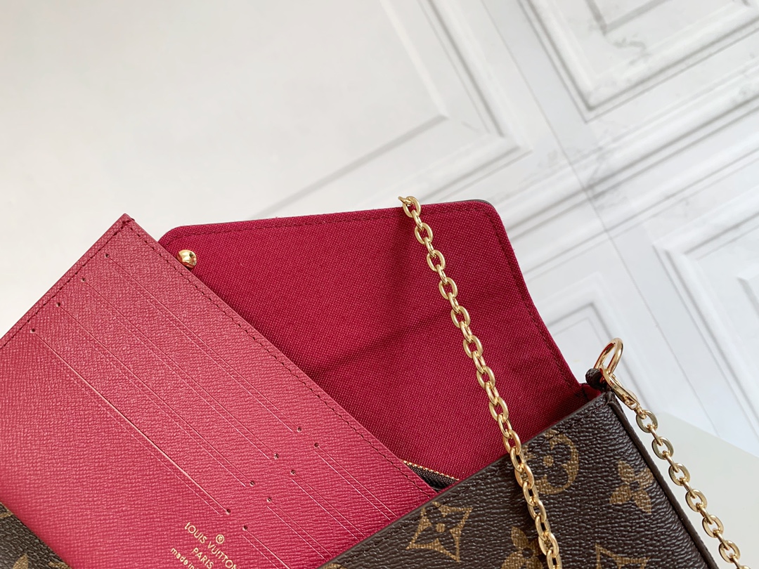 Louis Vuitton LV Félicie Pochette Bag