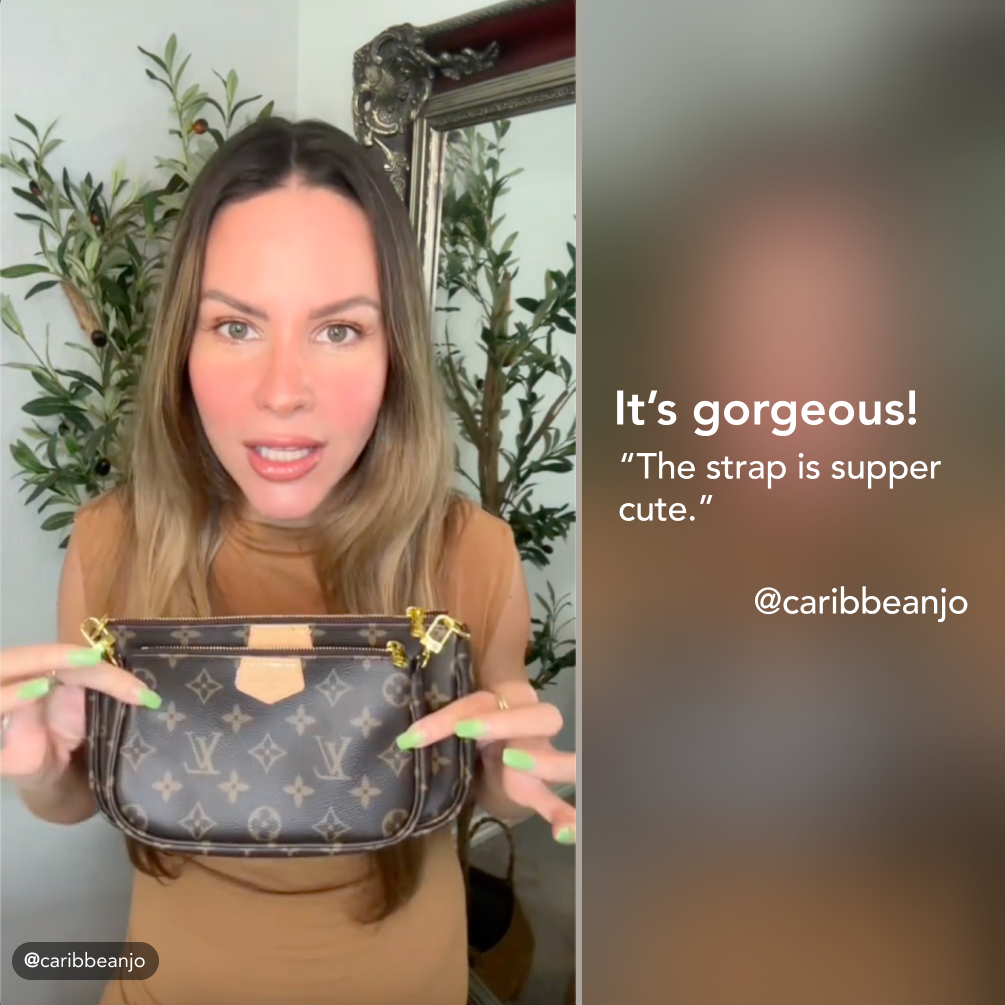 Louis Vuitton LV Multi Pochette Accessoires Bag