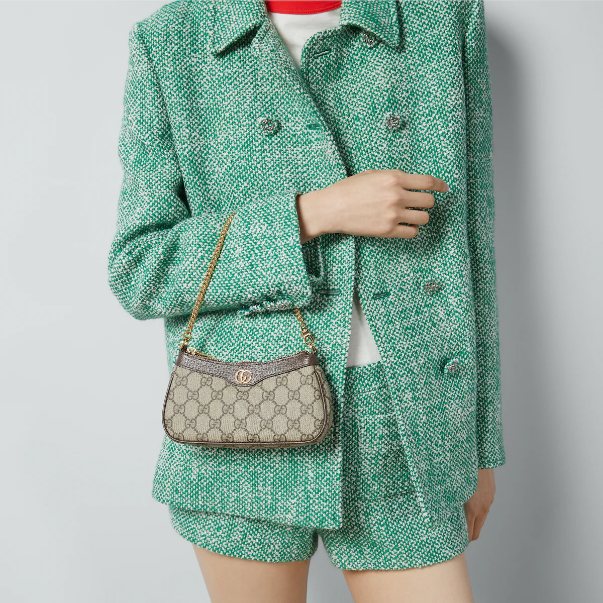 Gucci Ophidia Collection Mini Handbag - Beige And Black Bag