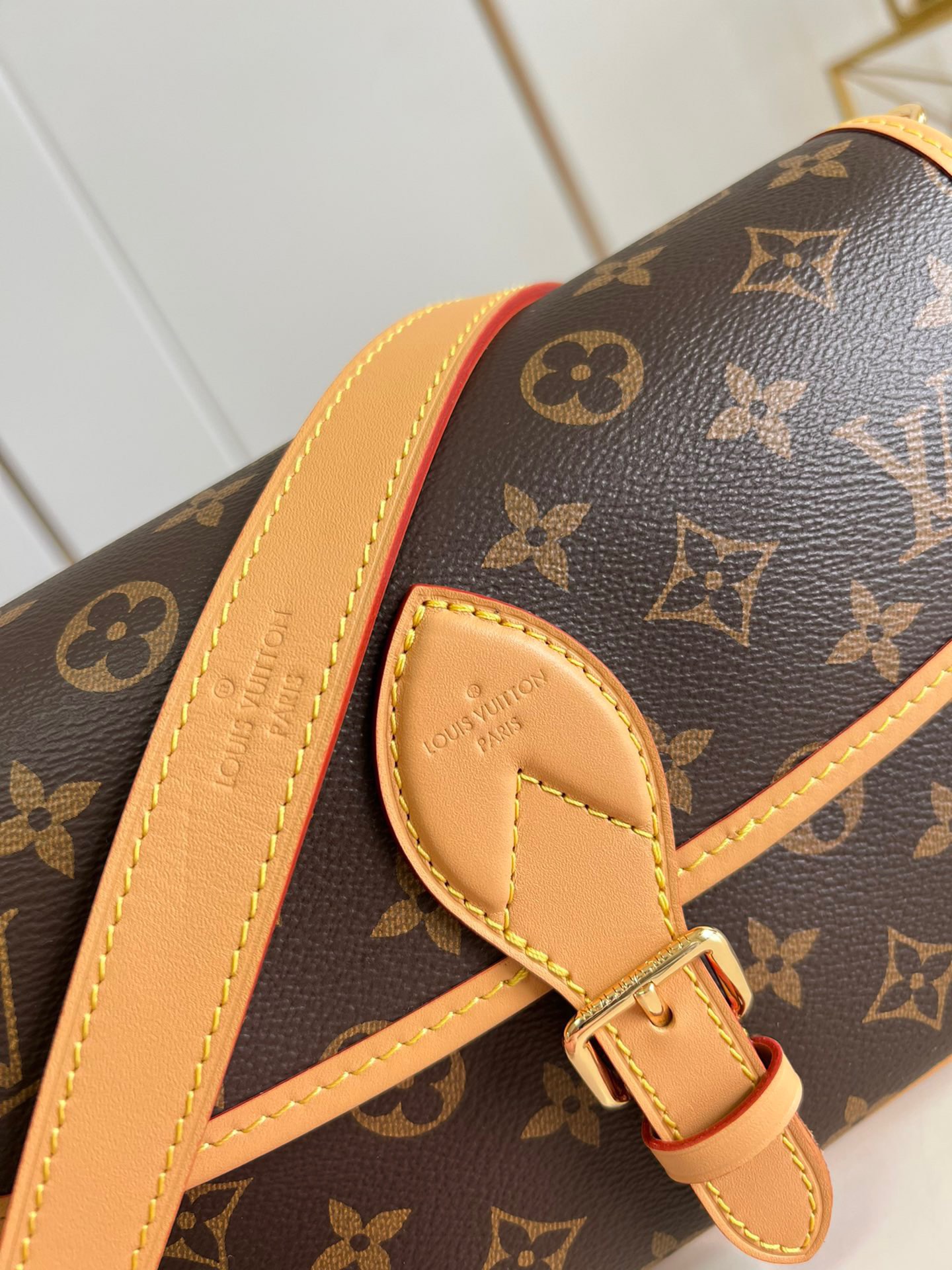 Louis Vuitton LV Diane NM Handbag Monogram Canvas - Bag