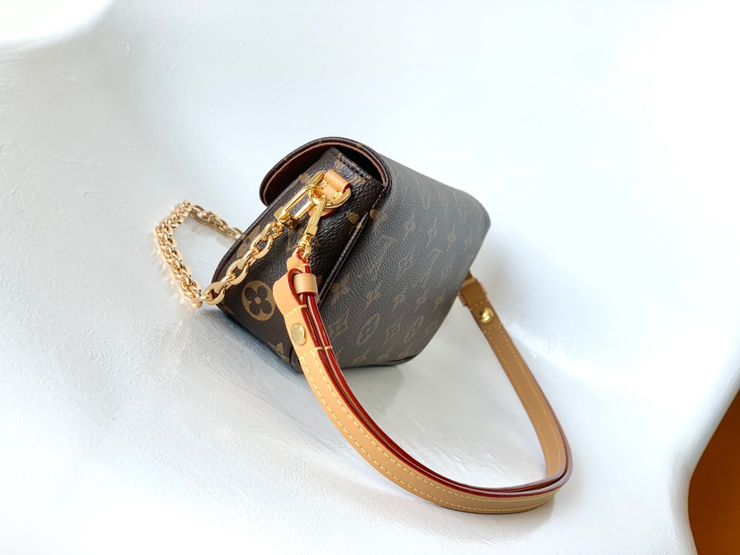 Louis Vuitton Wallet on Chain Ivy Bag