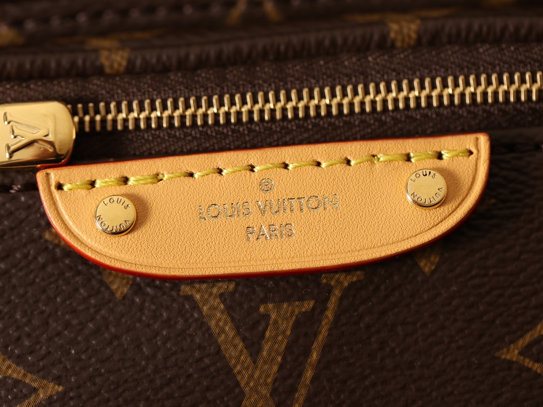 LOUIS VUITTON LV Monogram Mini Bumbag Bag