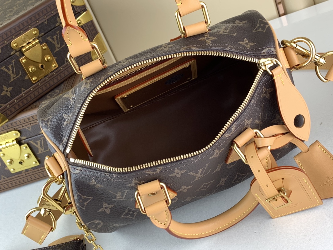 Louis Vuitton SPEEDY P9 BANDOULIERE 25 HANDBAG - Bag