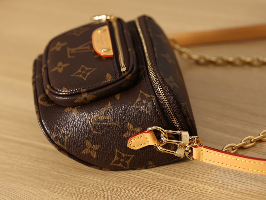 LOUIS VUITTON LV Monogram Mini Bumbag Bag