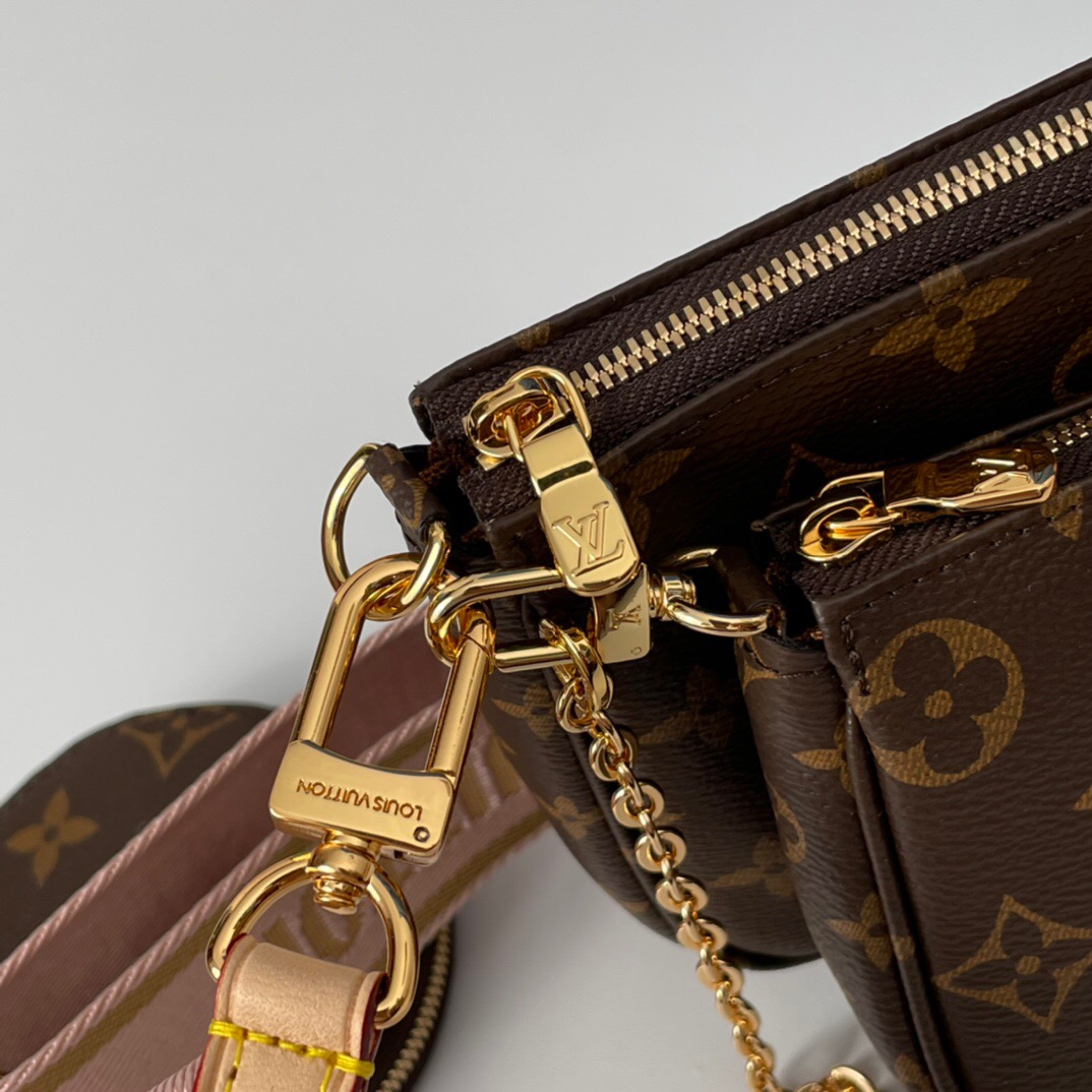 Louis Vuitton LV Multi Pochette Accessoires Bag