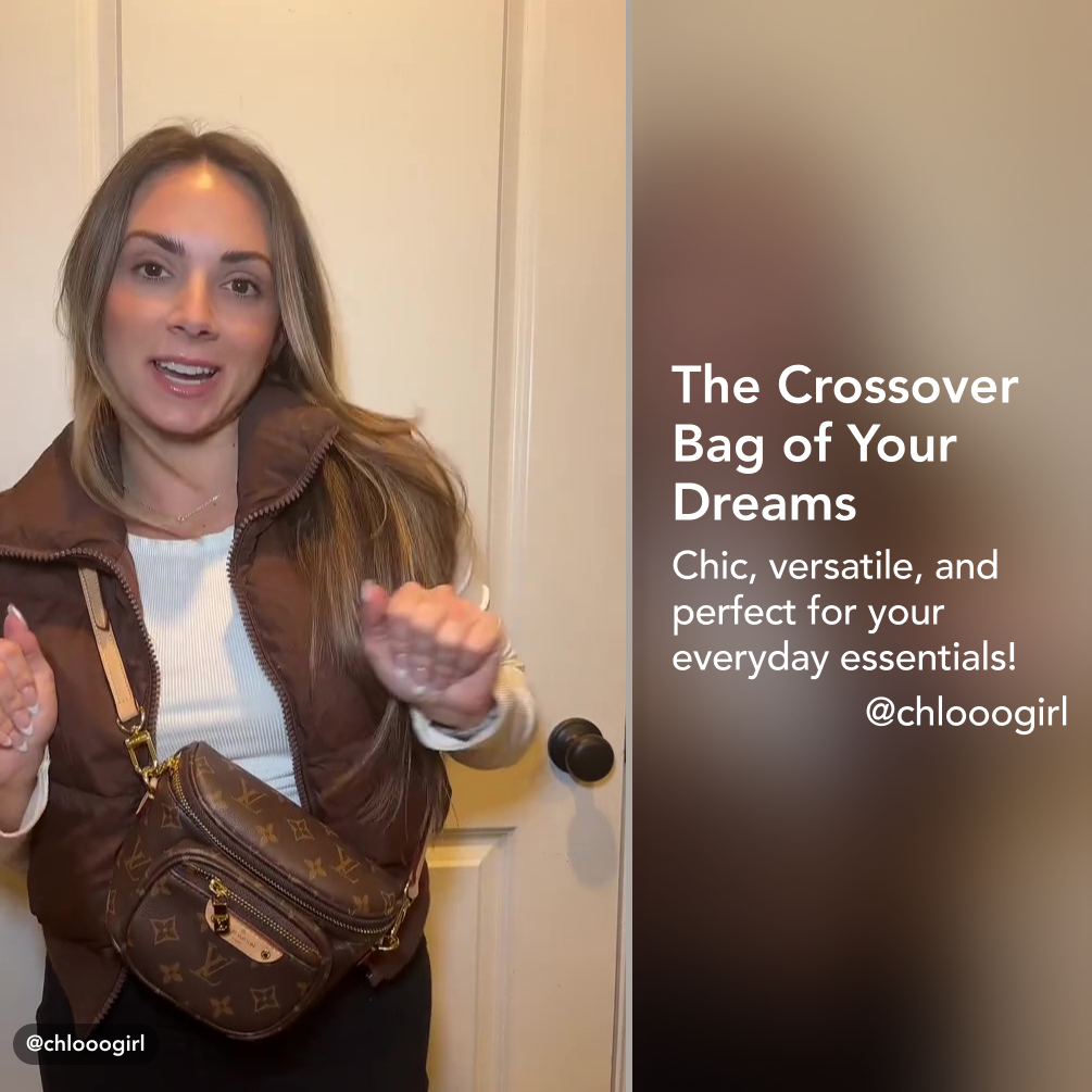 LOUIS VUITTON LV Monogram Mini Bumbag Bag