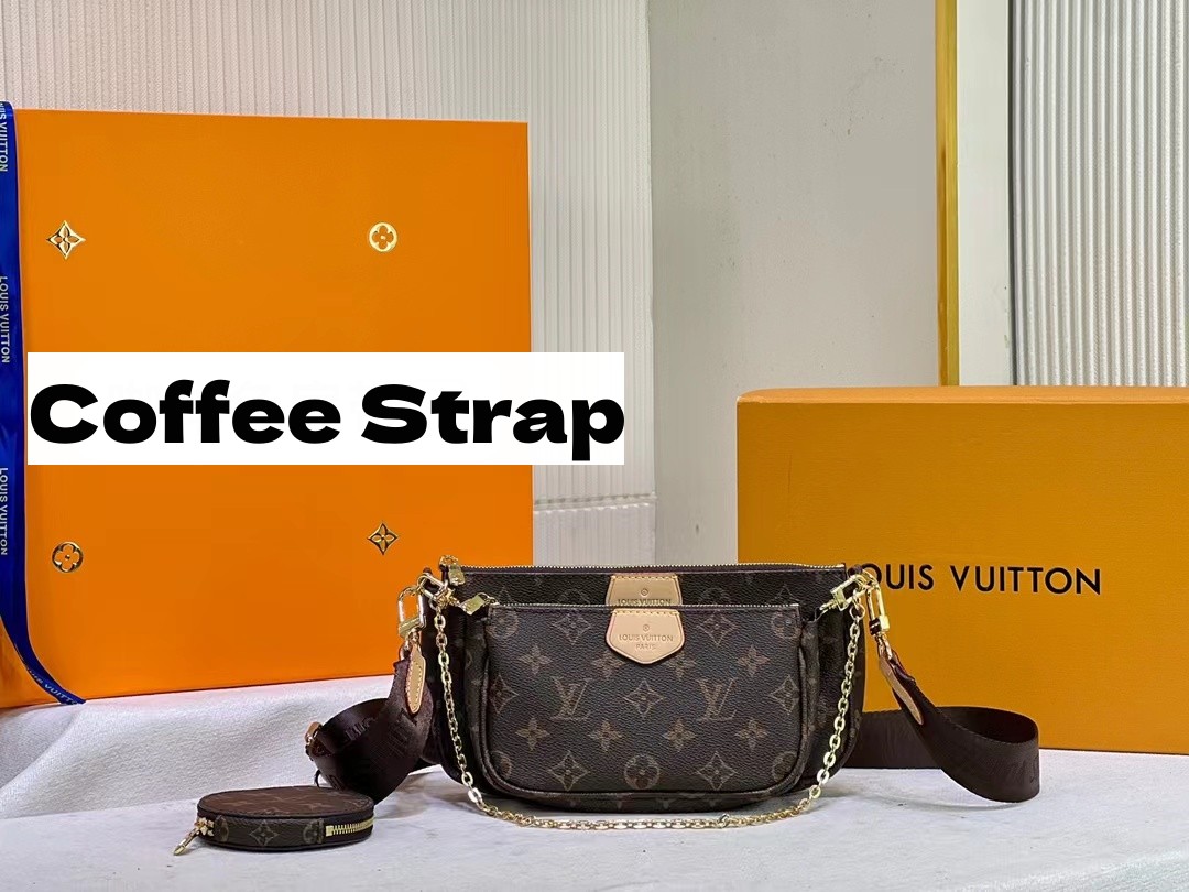 Louis Vuitton LV Multi Pochette Accessoires Bag