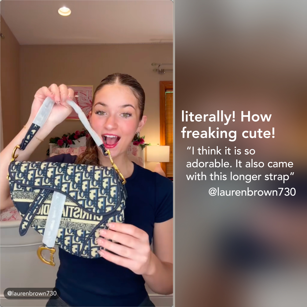 Dior SADDLE Bag Blue Dior Oblique Embroidered Velvet - Bag