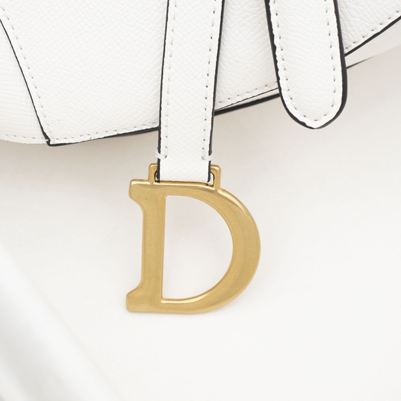 Dior Saddle Latte Grained Calfskin Bags