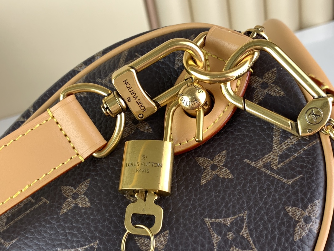 Louis Vuitton SPEEDY P9 BANDOULIERE 25 HANDBAG - Bag