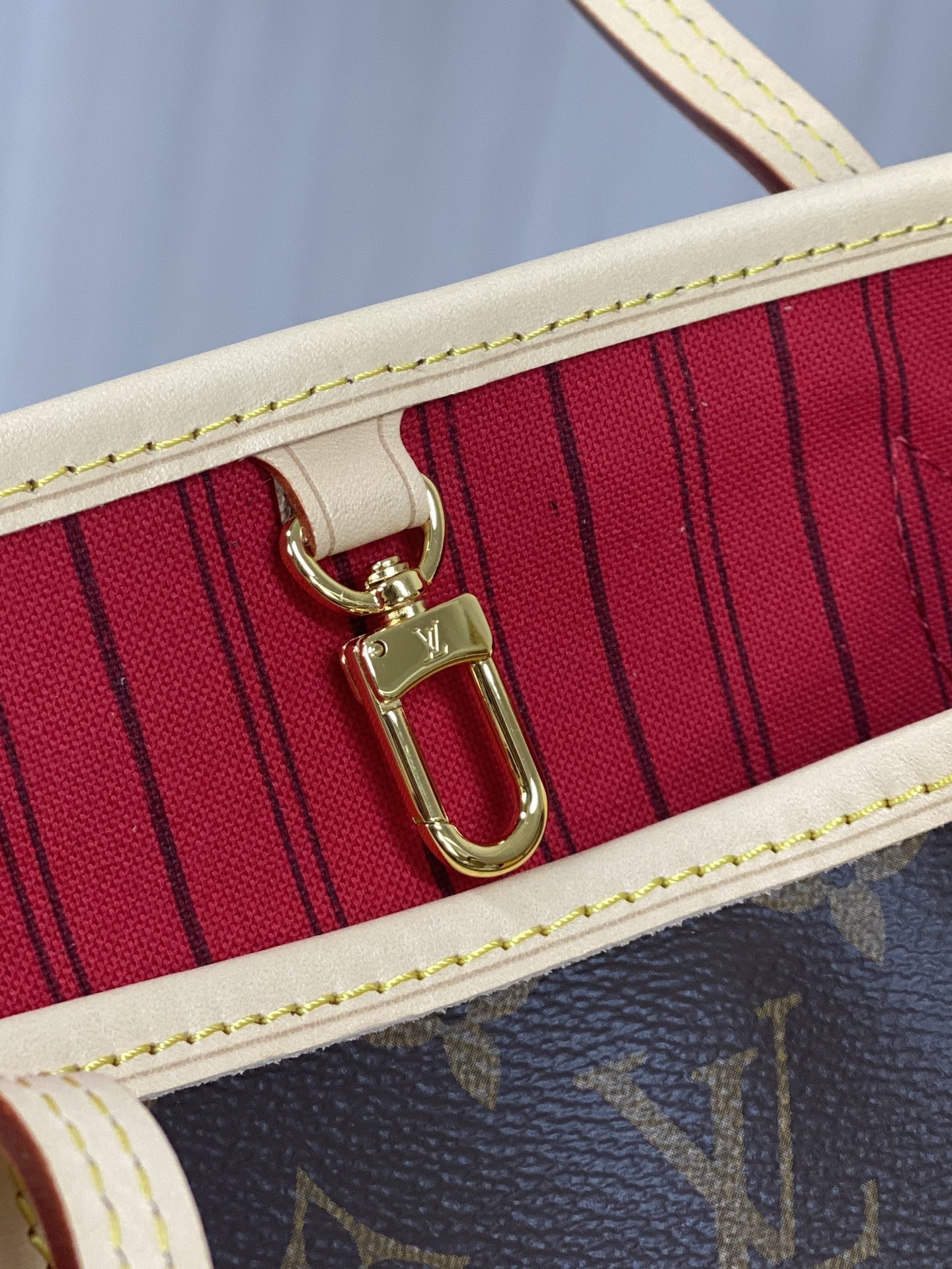 Louis Vuitton LV Neverfull PM bag