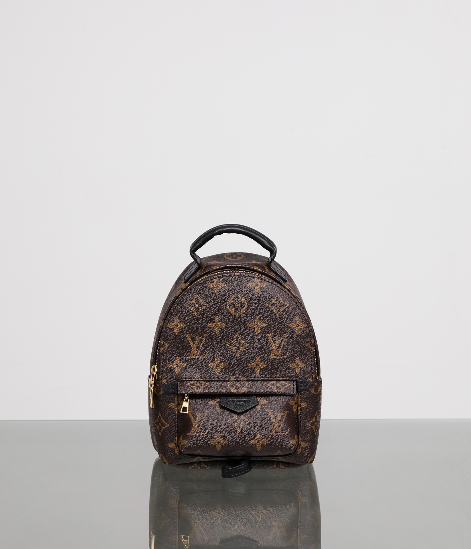 LOUIS VUITTON LV Monogram Palm Springs Backpack Mini - Bag