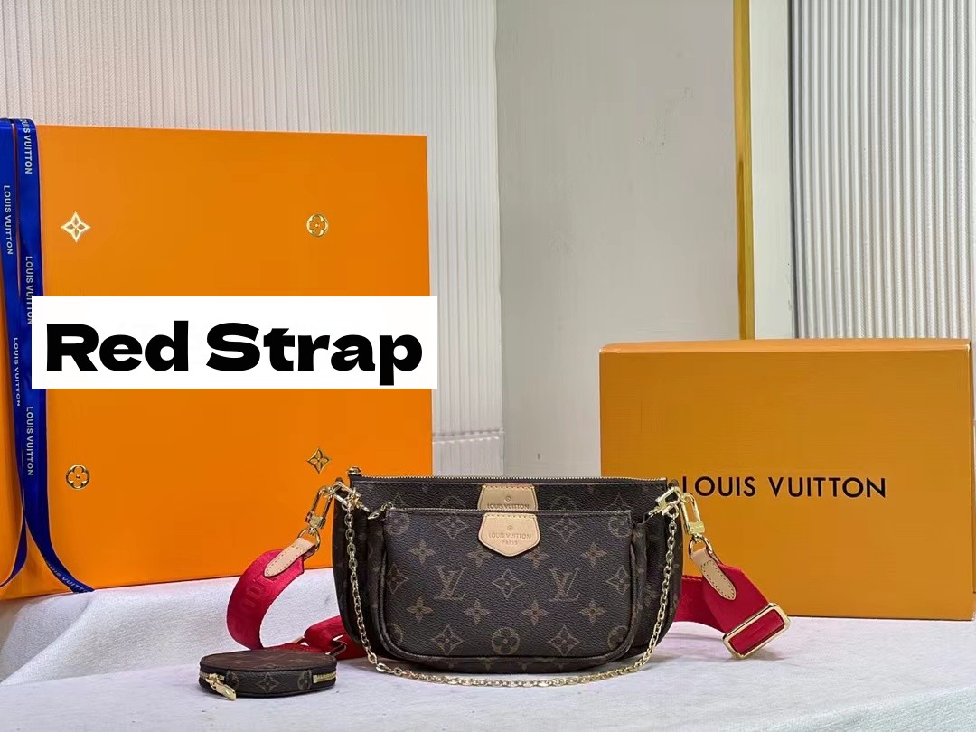 Louis Vuitton LV Multi Pochette Accessoires Bag
