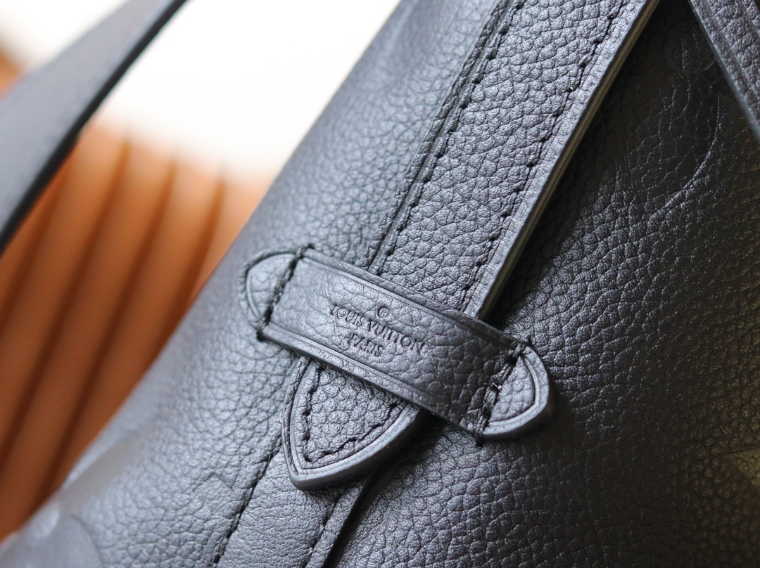 Louis Vuitton LV CarryAll MM - Black Bag