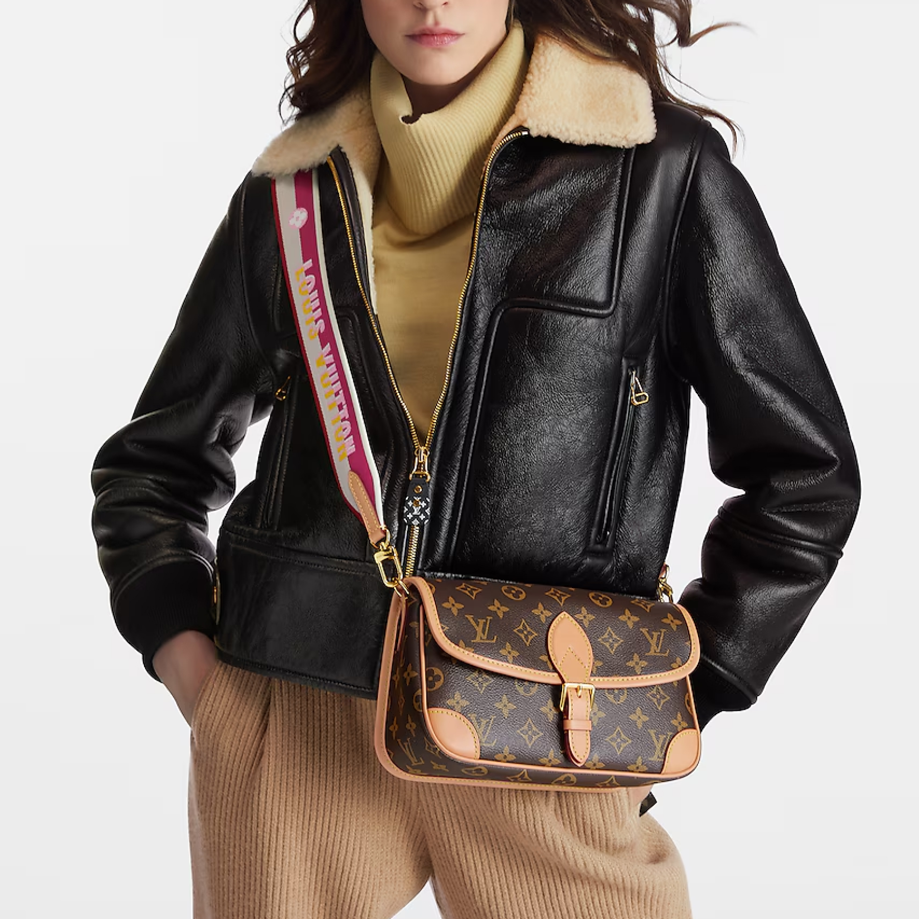 Louis Vuitton LV Diane NM Handbag Monogram Canvas - Bag