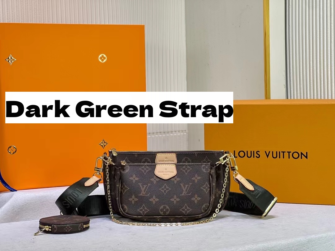 Louis Vuitton LV Multi Pochette Accessoires Bag