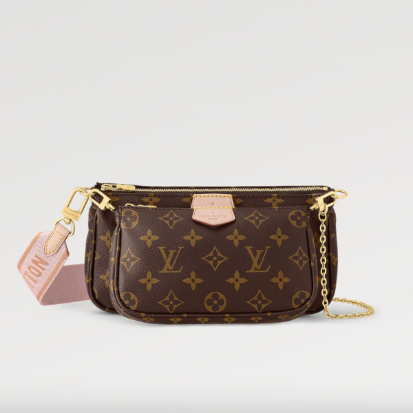 Louis Vuitton LV Multi Pochette Accessoires Bag